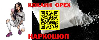 гашик Гатчина