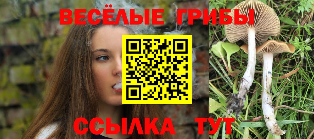 наркошоп  Вход с VPN  Шелехов  Псилоцибиновые грибы MAGIC MUSHROOMS 
